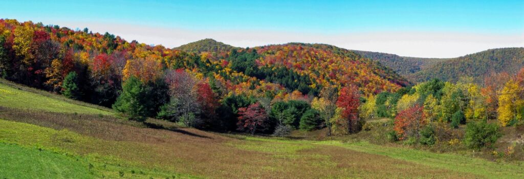 wedding venues in South Central PA