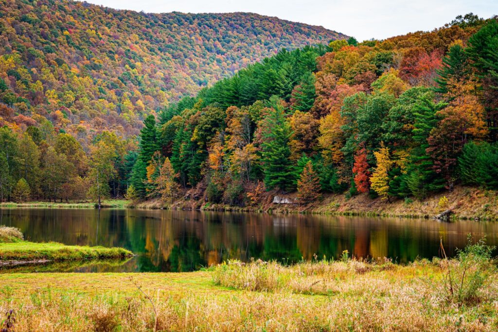 wedding venues in South Central PA
